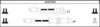 NIPPARTS J5387003 Ignition Cable Kit